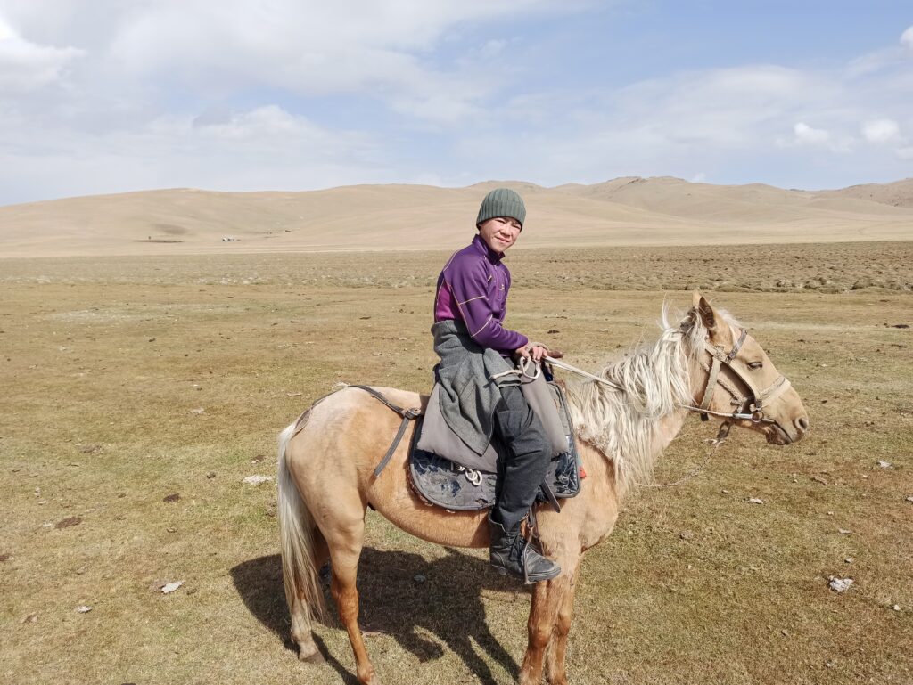 The horse and his boy