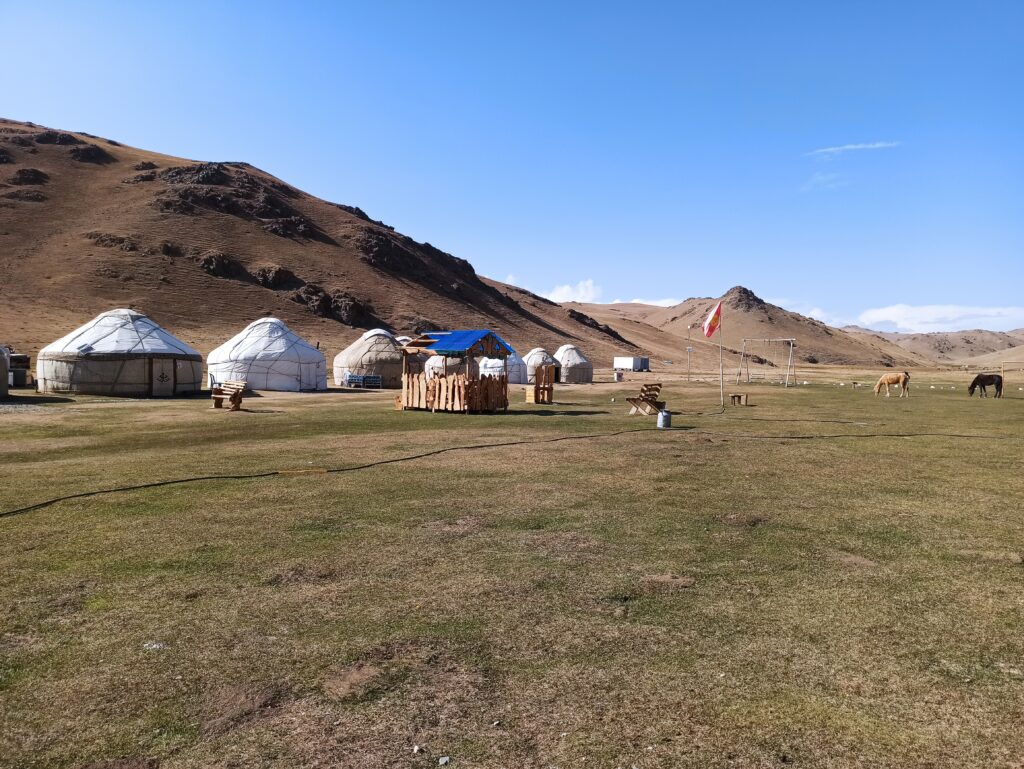 Our fancy yurt resort